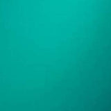 Acrylic Mirror & Pearlescent Circle Blank Shapes 12mm - 20 Pack